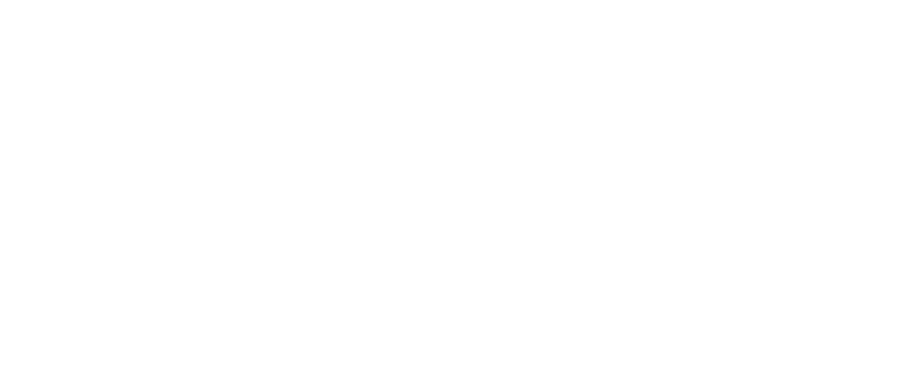CIMA Practising Certificate Holder